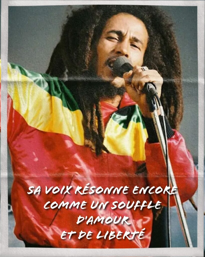 WhatsApp Image 2026-02-06 at 16.33.36